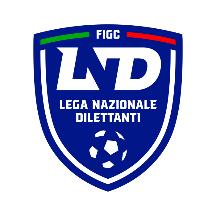 Calcio a 11