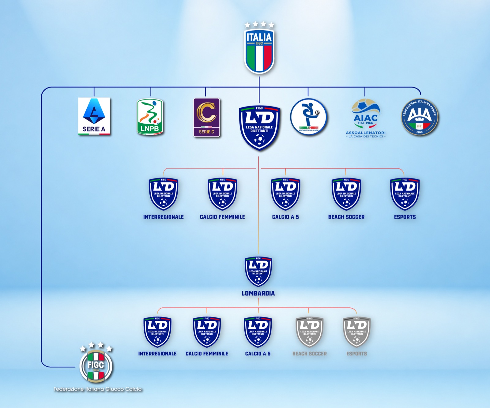 Organigramma CRL